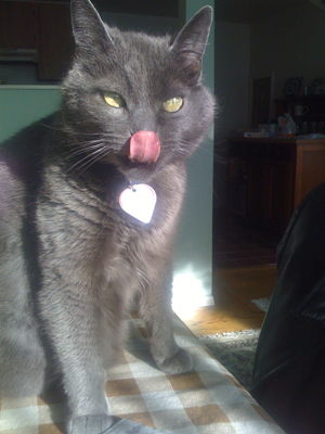 Bo_tongue.JPG